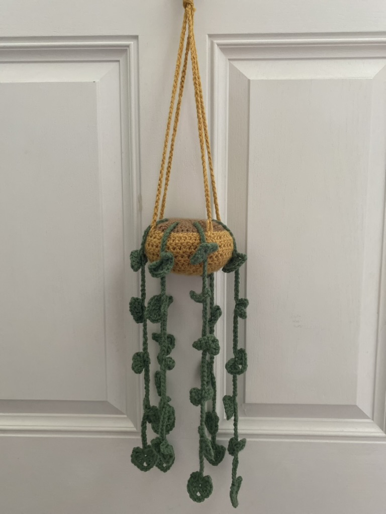 Crochet Plant